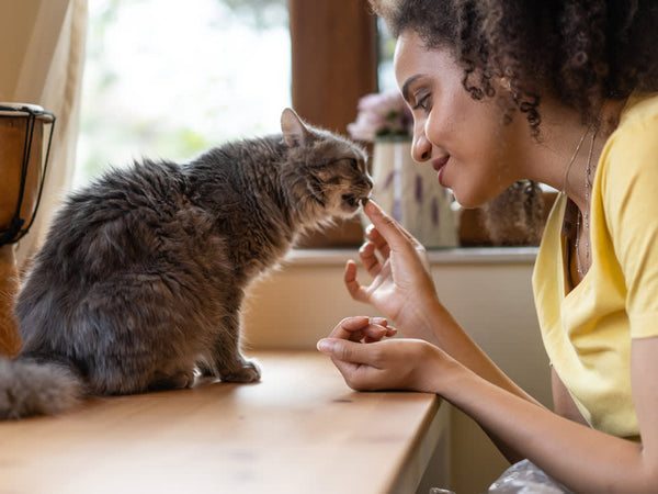 The Psychology Behind Treat Rewards and Pet Motivation