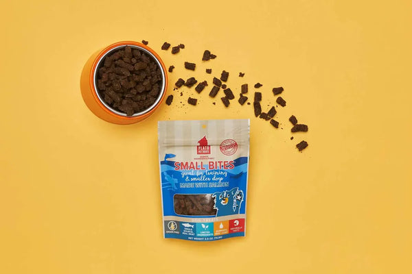 Homemade Dog Treats: What Makes Healthy Dog Treats and Tips on How to Make Them Yourself