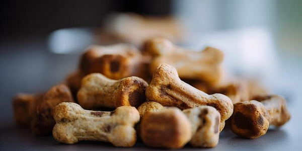 Healthy Pet Treats for Everyday Rewards