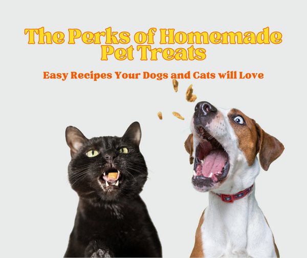 The Perks of Homemade Pet Treats