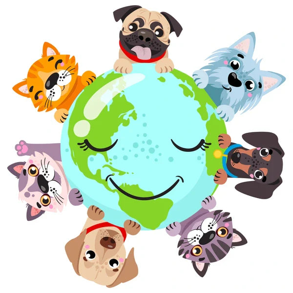 Sustainable Pet Treats: Caring for Pets and the Planet