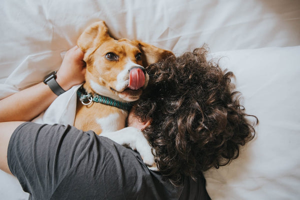 Why Treat Variety is Important for Your Dog’s Mental and Physical Health