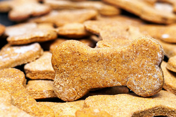 Grain Free vs Regular Dog Treats: Which Is Better?