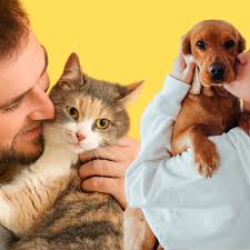 How to Choose the Right Treats for Different Types of Pets