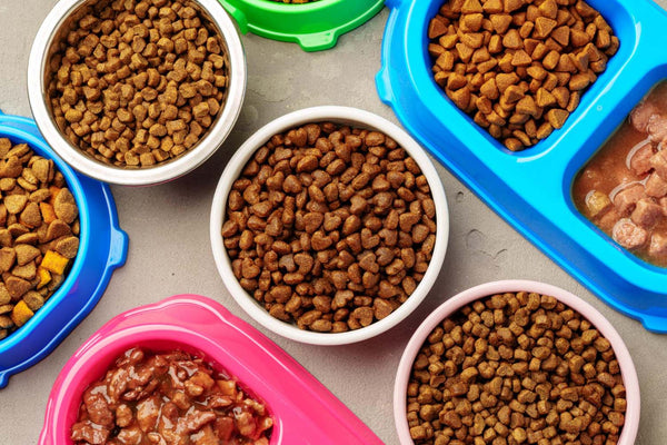 Functional Pet Treats: More Than Just a Snack
