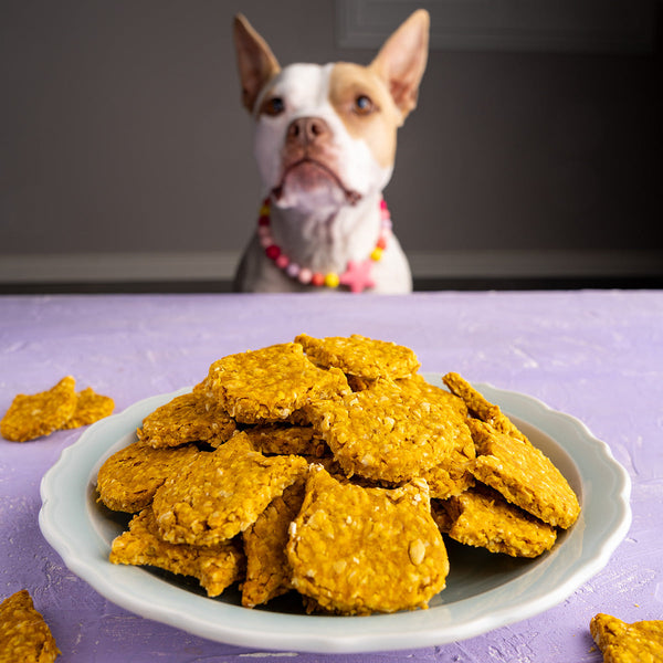 The Rise of Organic Pet Treats