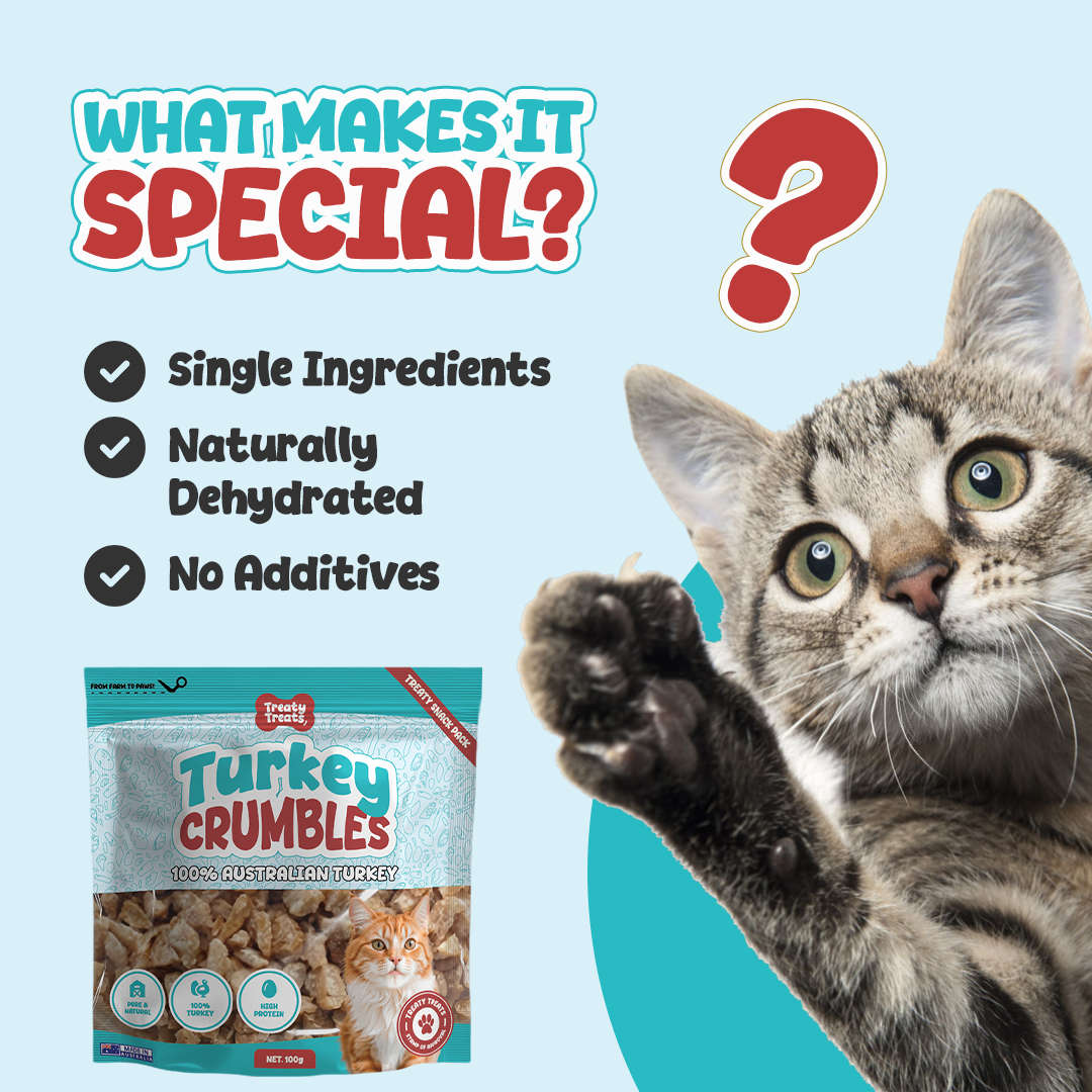 Cat Treats