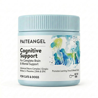 Brain & Cognitive Support Supplement