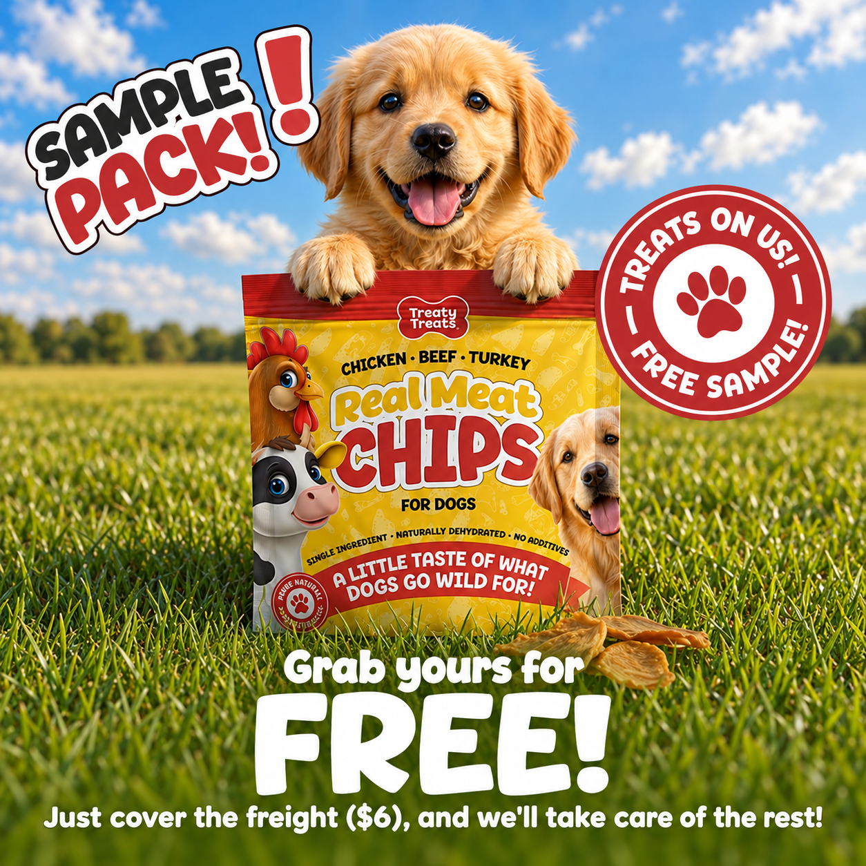 FREE SAMPLE PACK | Beef / Chicken / Turkey